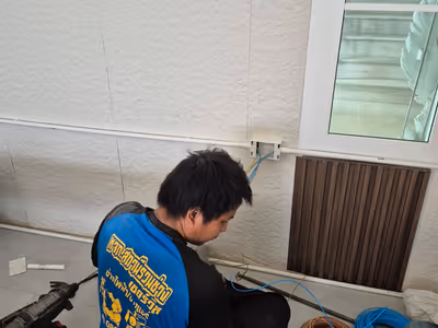 ภาพแกลลอรี่ 19